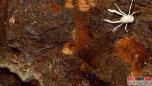 卡維奧巴拉特海底火山 卡維奧巴拉特海底火山