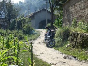 平掌上村 平掌上村