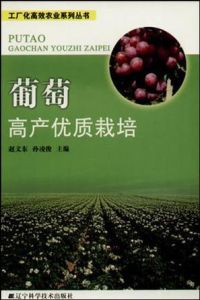 葡萄高產優質栽培 葡萄高產優質栽培