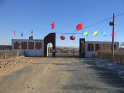 蘇尼特金曦黃金礦業有限責任公司 蘇尼特金曦黃金礦業有限責任公司