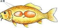 魚鰾 魚鰾