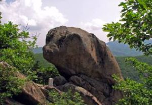 朱雀山森林公署 朱雀山森林公署