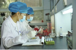 鑑定細菌學 鑑定細菌學