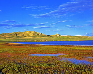 冬給措納湖濕地 冬給措納湖濕地