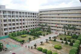 平岡中心國小 平岡中心國小