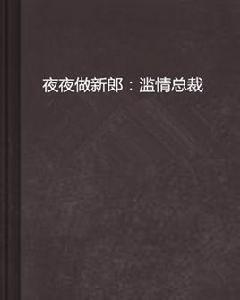 夜夜做新郎:濫情總裁 夜夜做新郎:濫情總裁