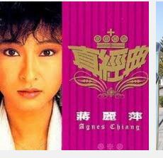 蔣麗萍[中國香港藝人]