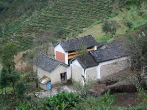 欄桿箐自然村 欄桿箐自然村