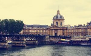 法蘭西科學院 法蘭西科學院