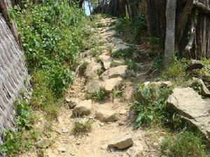 九自然村 九自然村