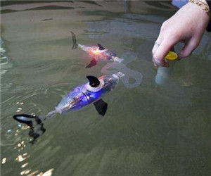 蜂鳥機器人 蜂鳥機器人