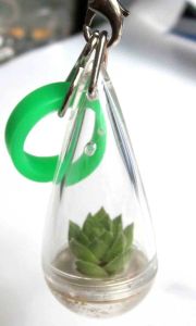 隨身農場 隨身農場