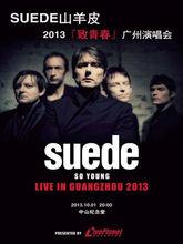 SUEDE山羊皮2013年巡演