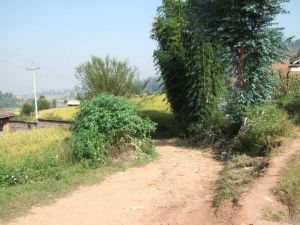 吳家灣自然村 吳家灣自然村