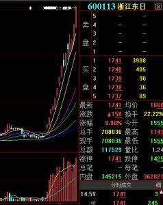 浙江東日 浙江東日