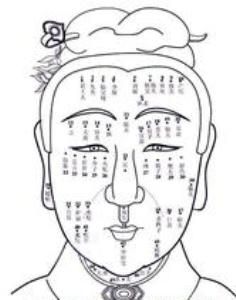 鷹鼻鷂眼 鷹鼻鷂眼