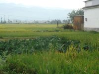 上銅廠一自然村 上銅廠一自然村