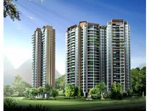 香樟國際 香樟國際