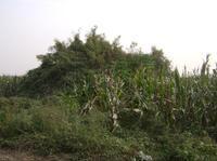 興寧陵[唐世祖李昞陵寢]