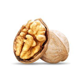 門頭溝大核桃 門頭溝大核桃