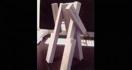 偏執效應 偏執效應