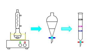 氣固反應 氣固反應