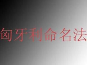 匈牙利命名法 匈牙利命名法