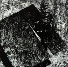 陳國毅作品欣賞