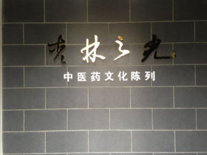陸有仁中草藥博物館