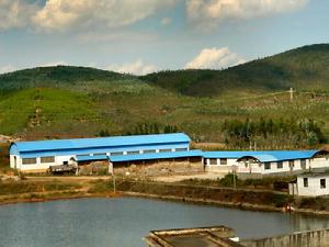 楊三莊村 楊三莊村