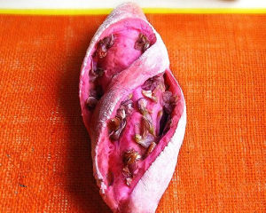 莧菜槐花法棍麵包 莧菜槐花法棍麵包