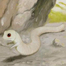 塔佐蠕蟲 塔佐蠕蟲