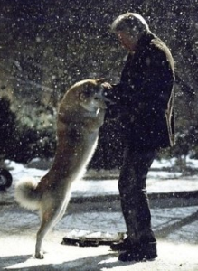 忠犬八公的故事