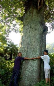 龍窖山風景名勝區 龍窖山風景名勝區