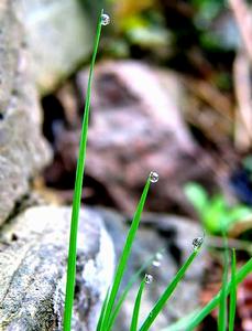仙水大廳 仙水大廳