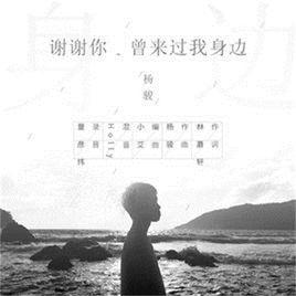 謝謝你，曾來過我身邊[楊駿演唱歌曲]