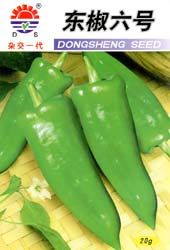 東椒六號 東椒六號