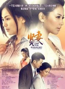 賢妻[2013年劉濤、保劍鋒、洪小鈴主演電視劇]