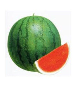 台灣新一號 台灣新一號