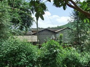 雙合自然村 雙合自然村