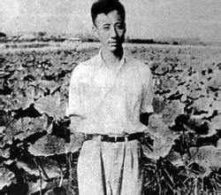 荷花澱派 荷花澱派