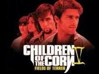 《玉米田的小孩5》 《玉米田的小孩5》