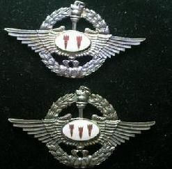 宣威獎章 宣威獎章