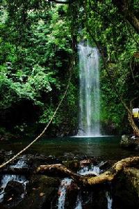 橫縣九龍瀑布 橫縣九龍瀑布