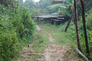 箐頭自然村[雲南省臨滄雲縣涌寶鎮柄柏村委會箐頭自然村]