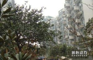 藍谷地五六期 藍谷地五六期