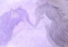 網友手繪的紫嵐和黑桑