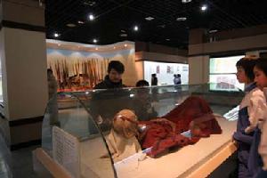 新疆維吾爾自治區博物館