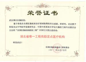 武漢博仕肛腸醫院(湖北省唯一定點醫院)