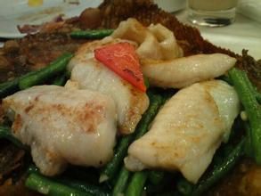 千禧迎回歸 千禧迎回歸